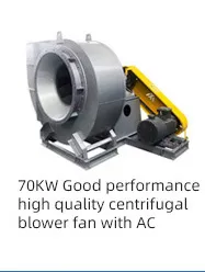 Gepersonaliseerde hoogdrukventilatoren van koolstofstaal 11