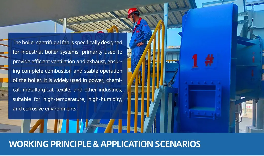 ODM IP55 Boiler Inductieventilator Efficiënt Energiebesparend Slijtvast 0